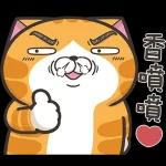 HR
WANTED
10
(暗中觀察)
8.
自備87元
馬拉