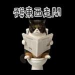 廁所貓貓✩別吵!我在用力✩