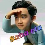 paket pintar