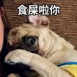 好厲害!