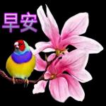 早安
感恩所有遇到的美好