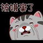 塔仔不正經 奇怪啪