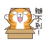 🧸非常感謝🧸	thank U~