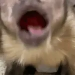 You are not my father