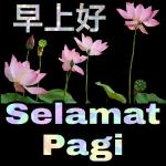 早上好