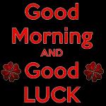 good morning and good luck to you
