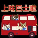 黑雨