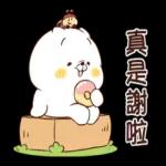 Ｑ萌可愛的貓咪朋友 