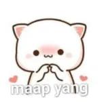 maap yang