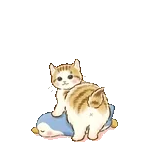 0106-tw-anim-小橘猫