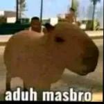 tolol