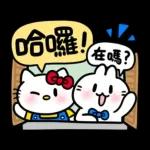 Hello Kitty 50週年 x 不死兔字由字在