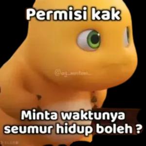 0kdwwu