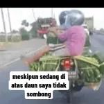 titik lucu