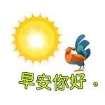 早上好