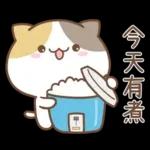可愛貓貓❤貼心日常❤7