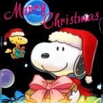 平安夜、聖誕、元旦