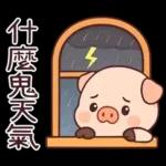 小豬豬愛聊天