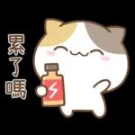 可愛貓貓❤貼心日常❤7