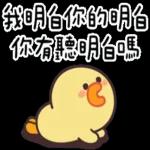 伊比鴨鴨★有說等於沒說 