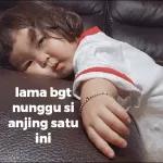 lama bgt nunggu si anjing satu ini