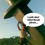 kontol