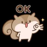 Q松鼠Q♡你好♡4