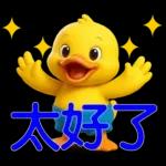 可愛黃鴨⭐日常實用貼