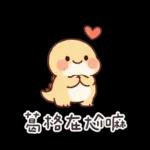 撒嬌龍龍✩我可是兄控
