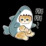 鲨鱼合金
