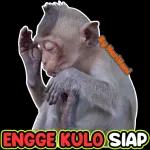 Boleh star plan harini