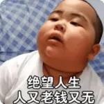 畫專 圖業 居崽炒飯