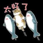鲨鱼合金