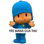 pocoyo