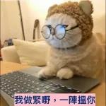 事事
順心