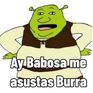 Ay Babosa me asustas Burra - getsticker.com