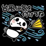ぶなんなパンダ／お天気