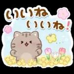 ふんわりにゃんこの春