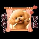 【秋冬】ずっと使える❤️日常会話 トイプー