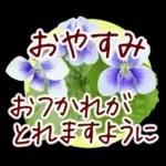 春✿明るい花で幸せ呼び込む✿やさしい声かけ