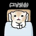 작아요 고먕이