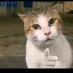 ten una estrellita pa que la lleves hoy y andes brillando por todos lados con esa fuerza con la que solo tú sabes brillar