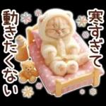 冬の猫のスコティッシュ【よく使う言葉】