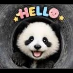 飛び出す♡まいにちパンダ