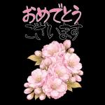 もふ屋画♪チップとデール