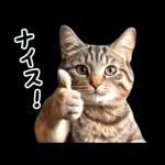 動く！猫の日常2