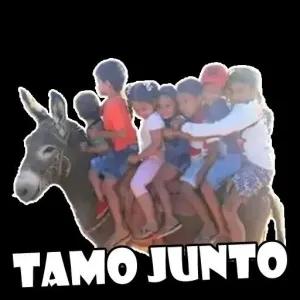TAMO JUNTO - getsticker.com