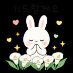시크한 토끼의 한마디
