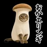 キジトラ猫飼いさんのダジャレ