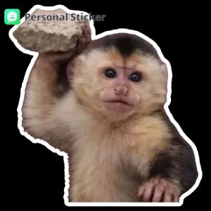 Personal Sticker - getsticker.com